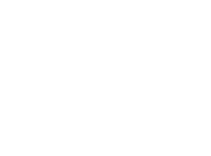 Rimor S.r.l. é parceiro do Marelli Motori Group!